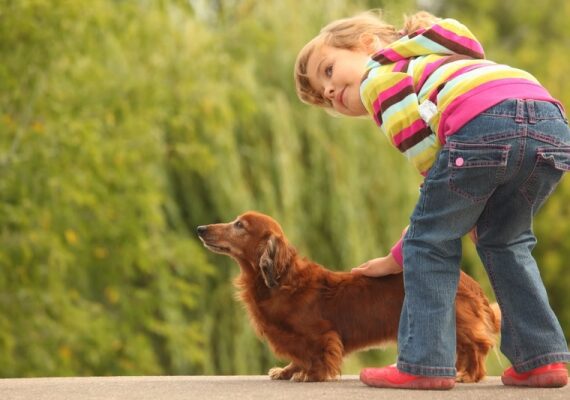 Hond knuffelen vermindert stress