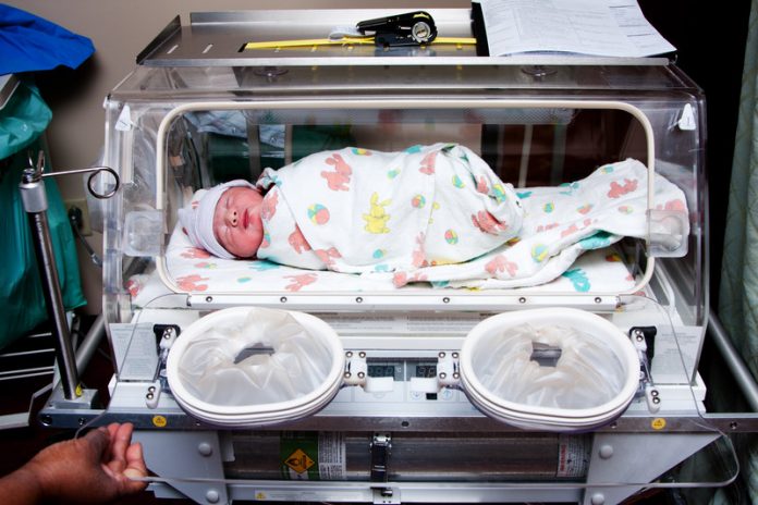prematuur canstockphoto8112813 Te vroeg geboren baby in couveuse