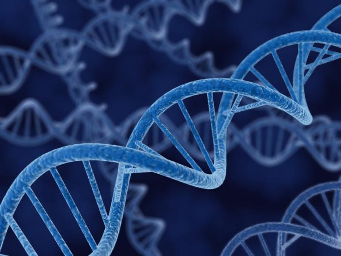 dna dragerschapsscreening
