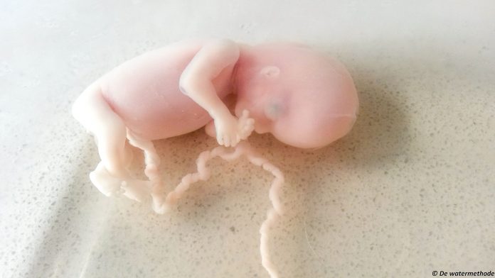 S-20150901_142739Sam Foetus in balke water