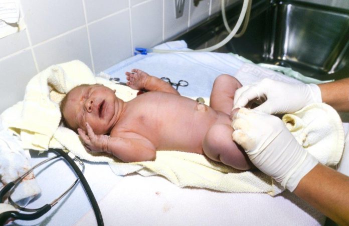 canstockphoto25289694 pas geboren Koelen pasgeboren baby effectief