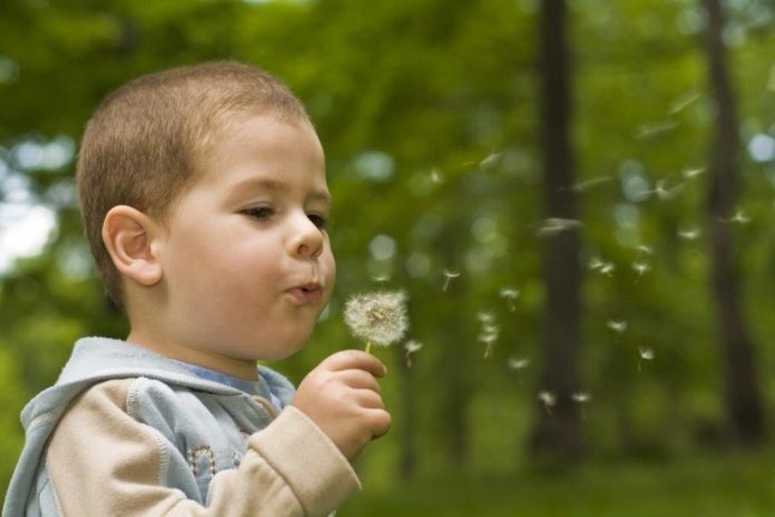 canstockphoto5775506 lr Kinderopvang