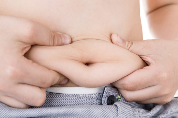 canstockphoto26261216 dik obesitas