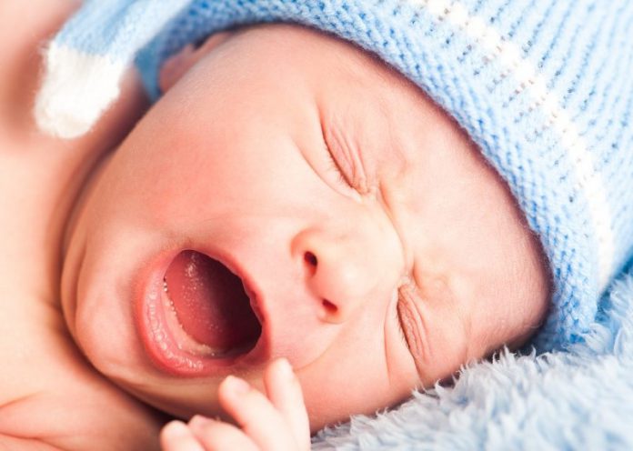 baby pasgeboren baby