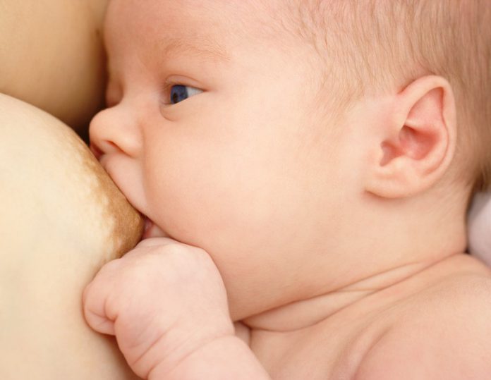 borstvoeding baby drinkt van borst