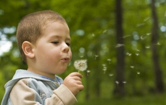 Presentaties Congres Passende Kinderopvang – 23 mei 2019
