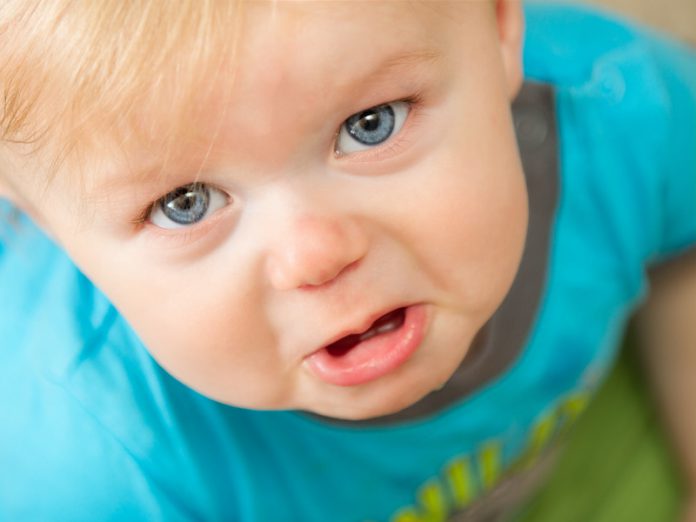 canstockphoto10600293
