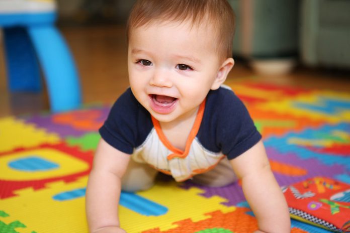 canstockphoto11135749