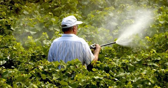 Pesticiden lijken kans op autisme te verhogen