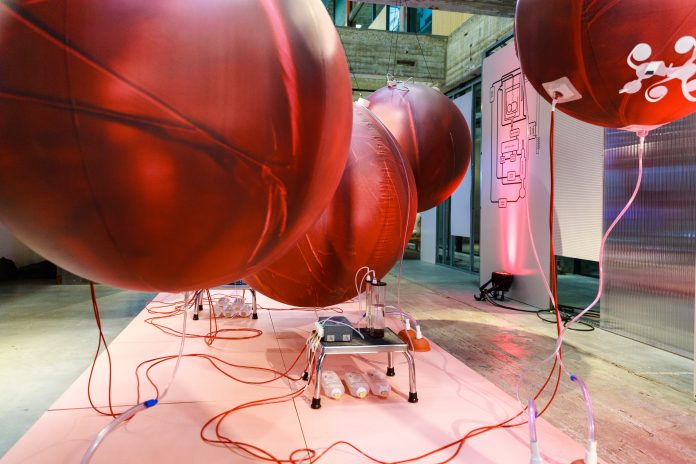 SAEYS_MMC_DDW_Kunstmatige_Baarmoeder_dr_Oei_GT5R6299