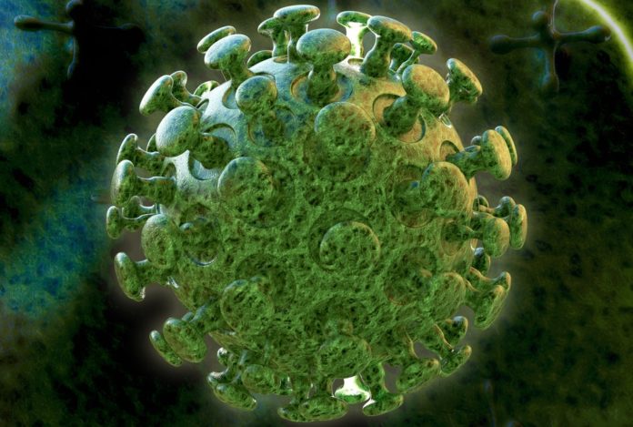 Corona virus