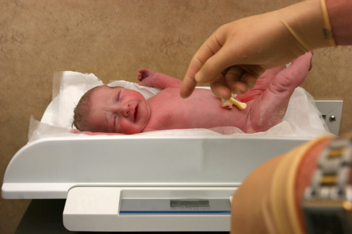 Baby canstockphoto217203