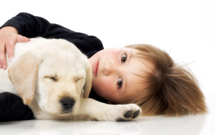 Kind en hond canstockphoto4401510 hond, kind