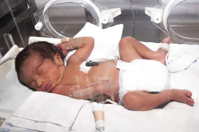Prematuur canstockphoto23142716