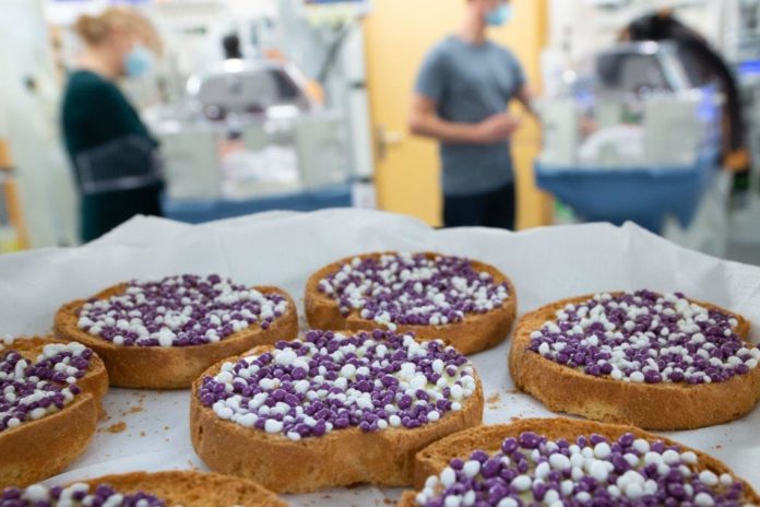 Paarse muisjes 2 lr