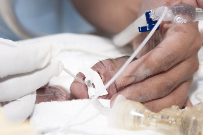 Prematuur canstockphoto24898066