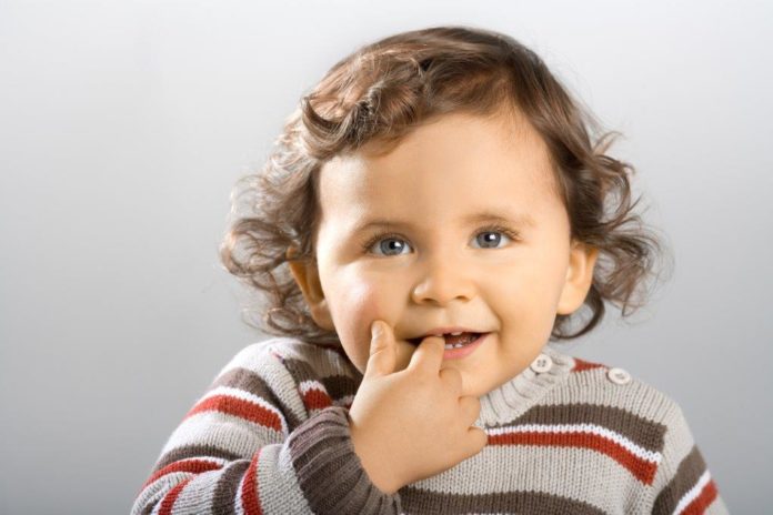 Cover canstockphoto11670678