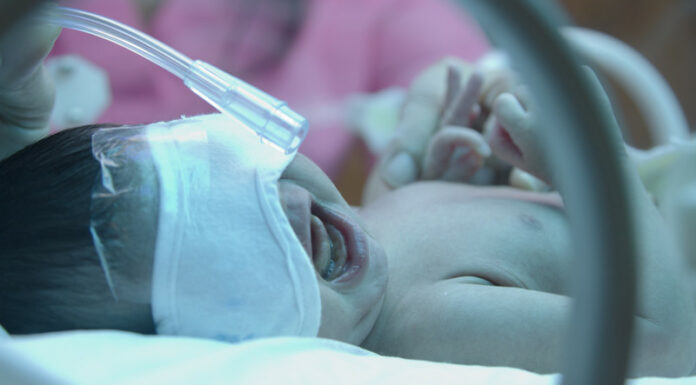 Prematuur canstockphoto17026069