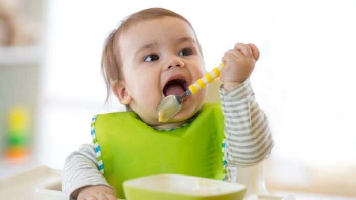 Eerste hapje AdobeStock_235888520