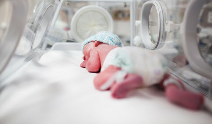 Couveuse canstockphoto5158413 couveusebaby