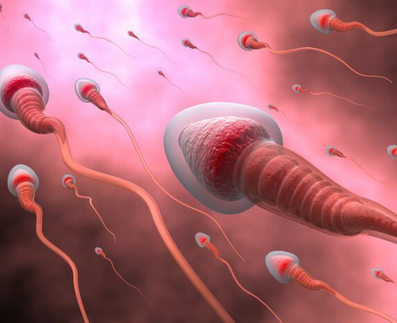 Onvruchtbaarheid bij man vaak veroorzaakt door fouten in DNA