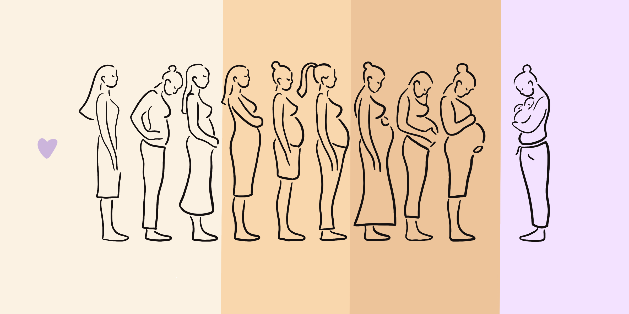 Bewuste van week tot week zwangerschapskalender - Vakblad Vroeg