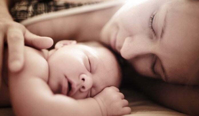 canstockphoto6512853 (1)