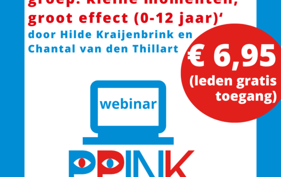 PPINK-webinar Meer bewegen op de groep